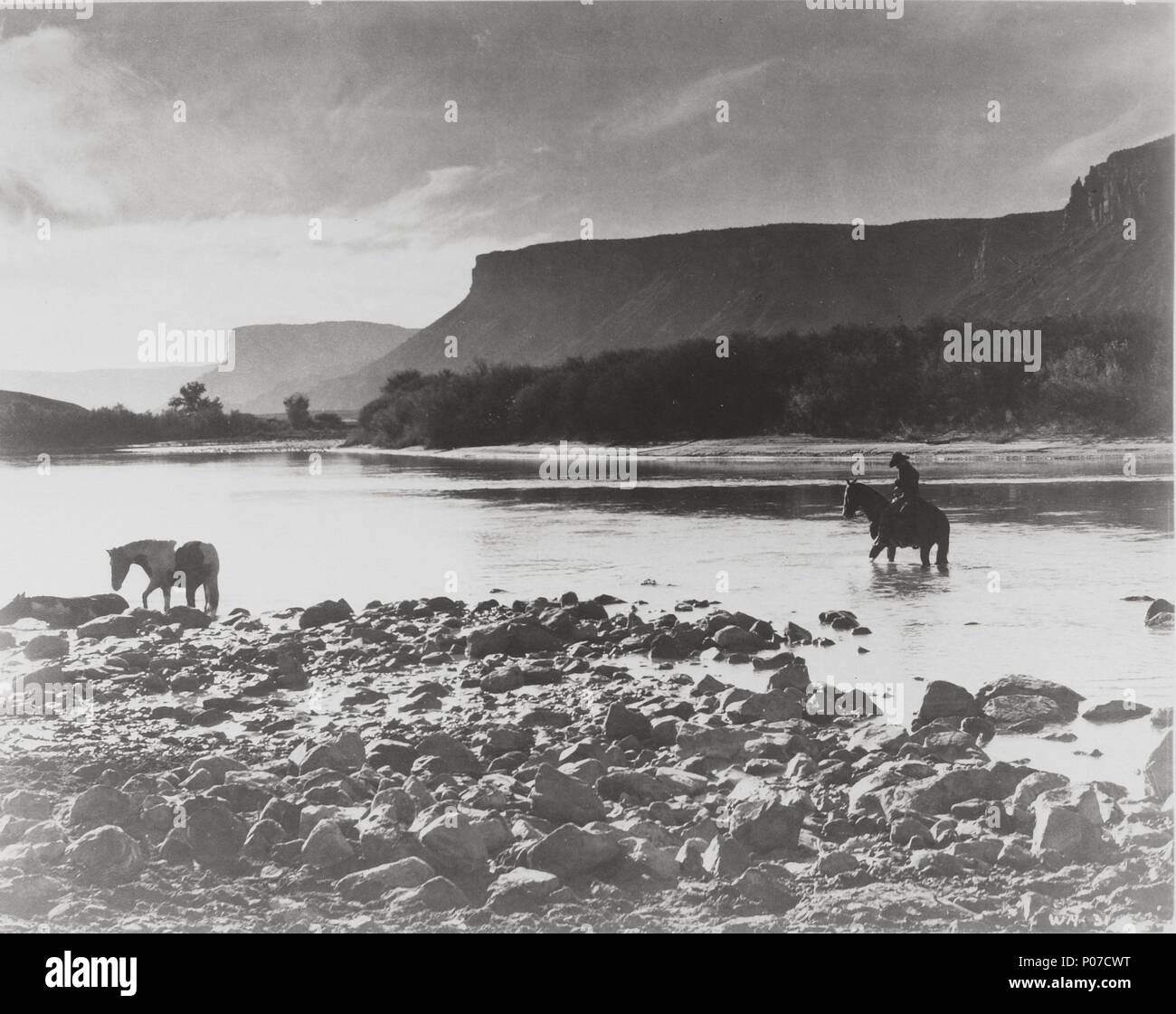 Original Film Title WAGON MASTER. English Title WAGON MASTER. Film