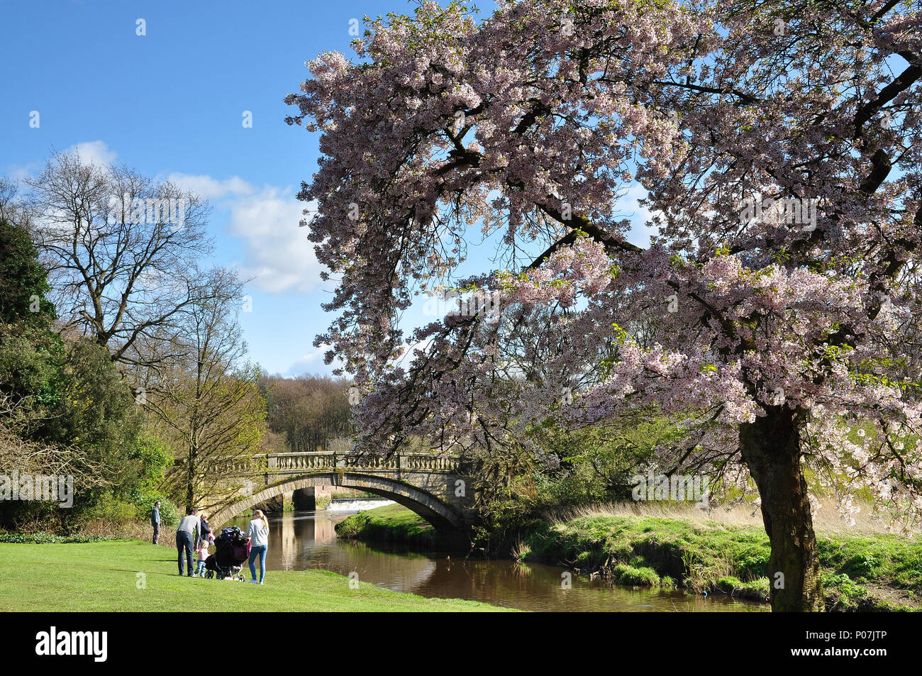 Pollok Park Glasgow Stock Photo