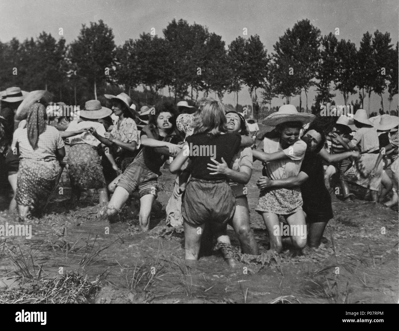 Rice rice fighting fighting rice rice hi-res stock photography and ...