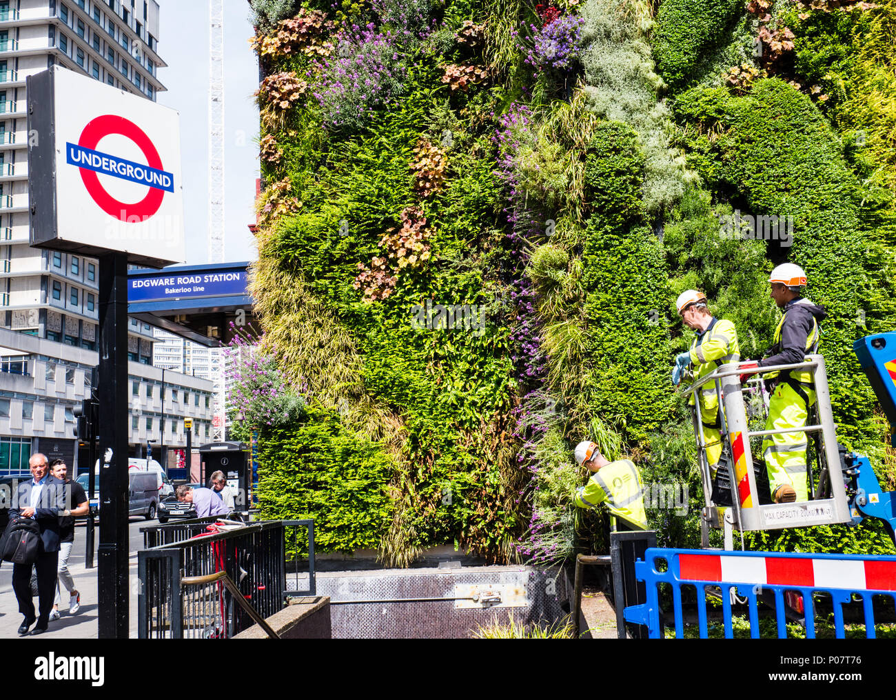 Edgware Road London Underground Station, With Green Wall to Reduce Air Pollution, London, England, UK, GB. Stock Photo