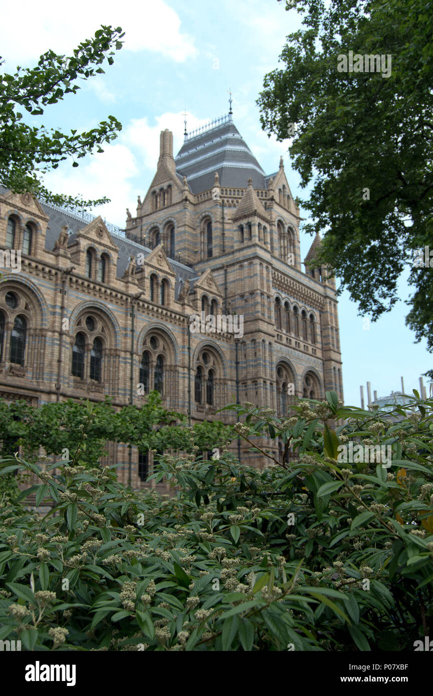 Exterior of the Natural History Museum, London, in spring Stock Photo Alamy
