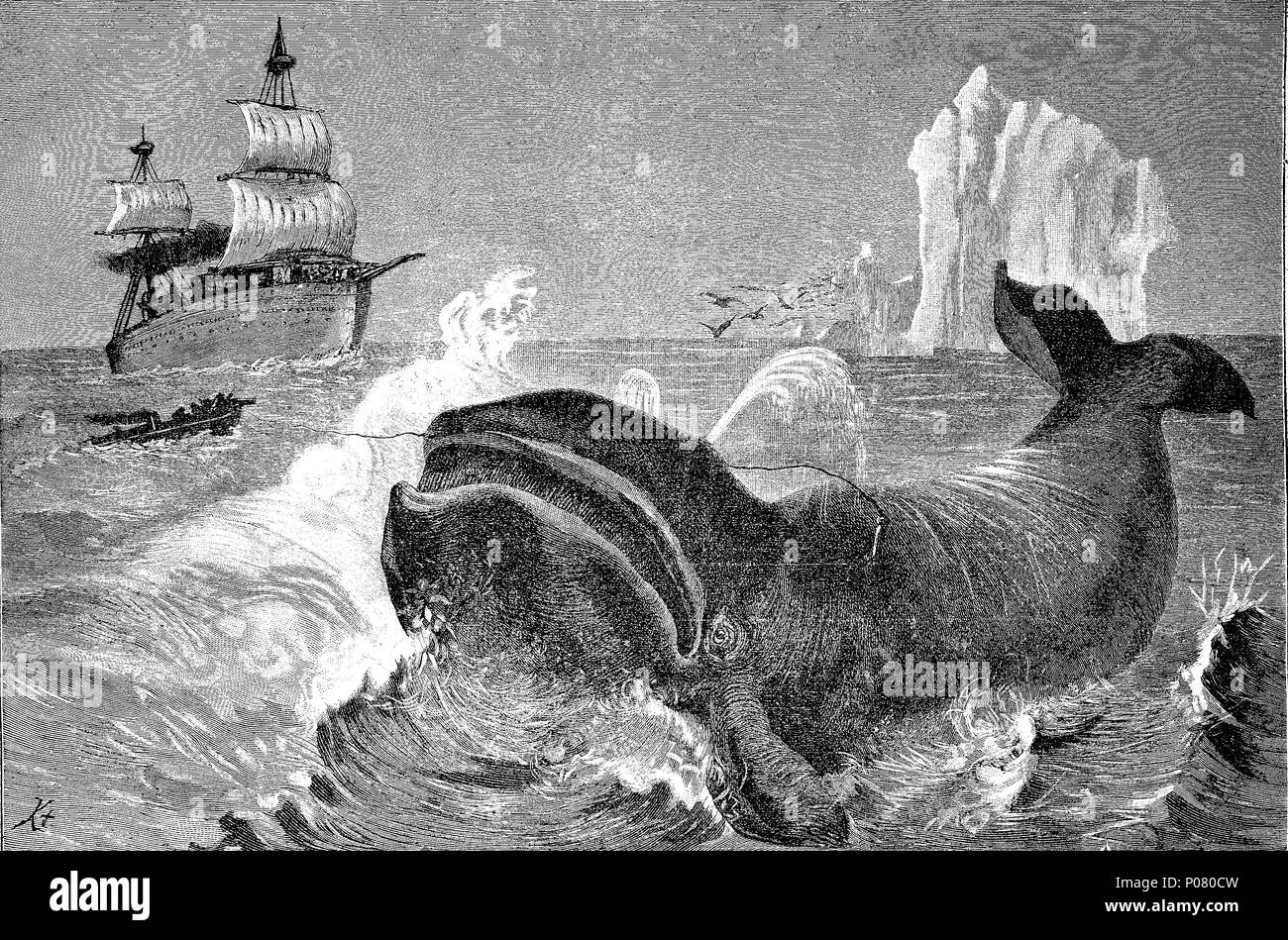 whale hunting in the northern ice sea, Waljagd im nÃ¶rdlichen Eismeer, digital improved reproduction of an original print from the year 1881 Stock Photo