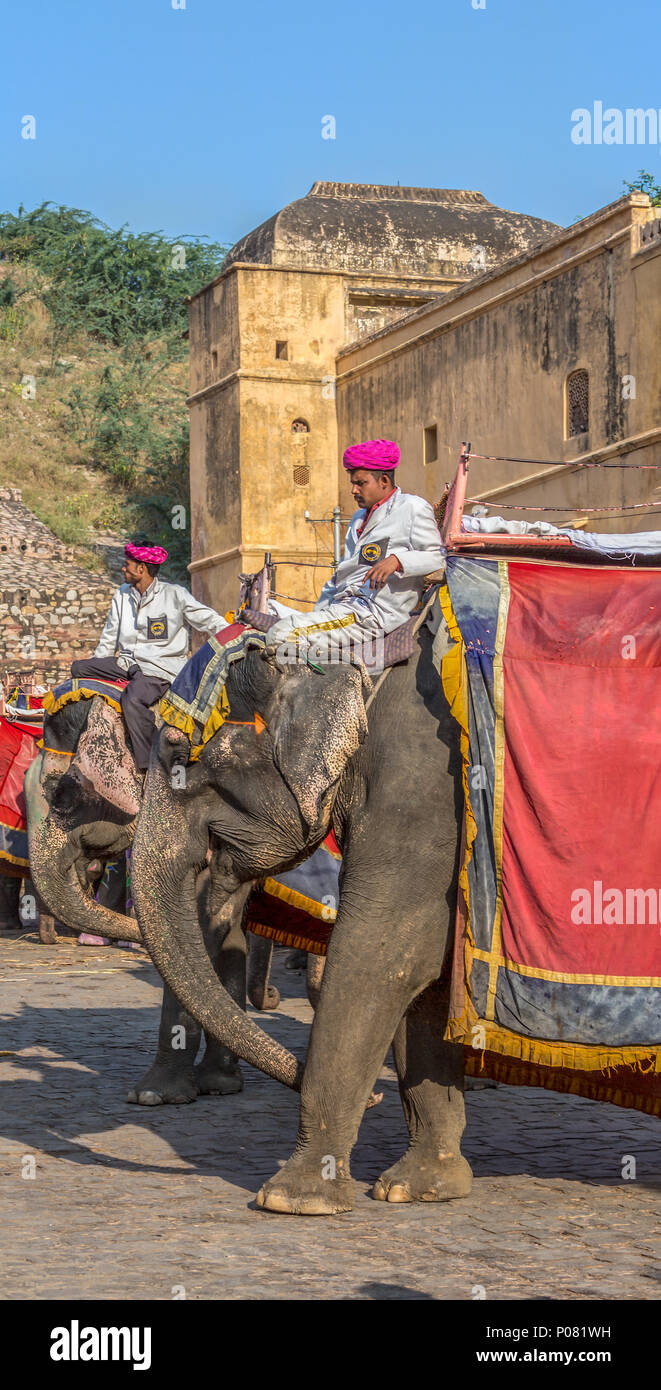 Elephant Drivers waiting for patrons at the historic Amber Fort in Jaipur, India Stock Photo