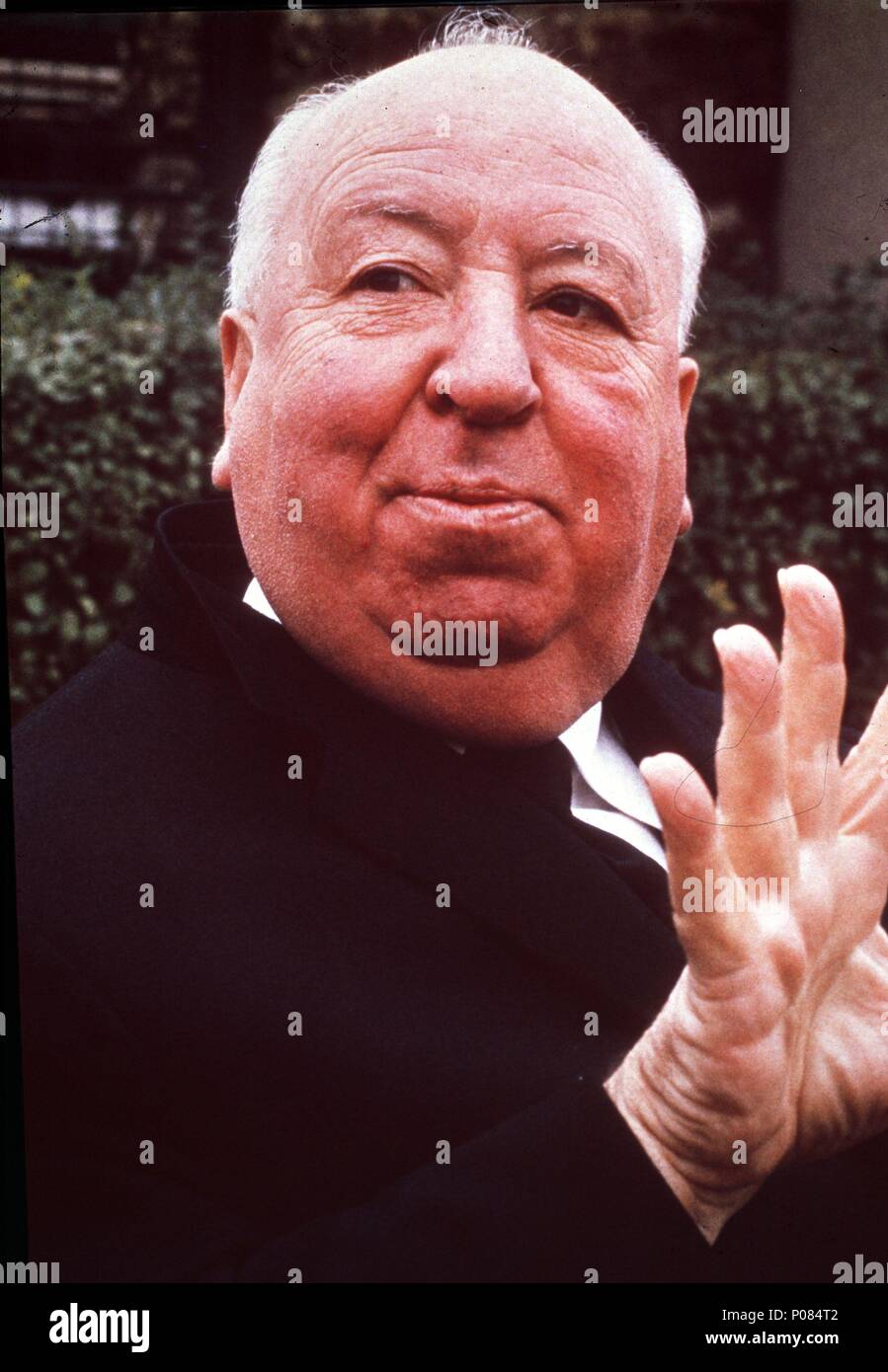 Stars: ALFRED HITCHCOCK Stock Photo - Alamy