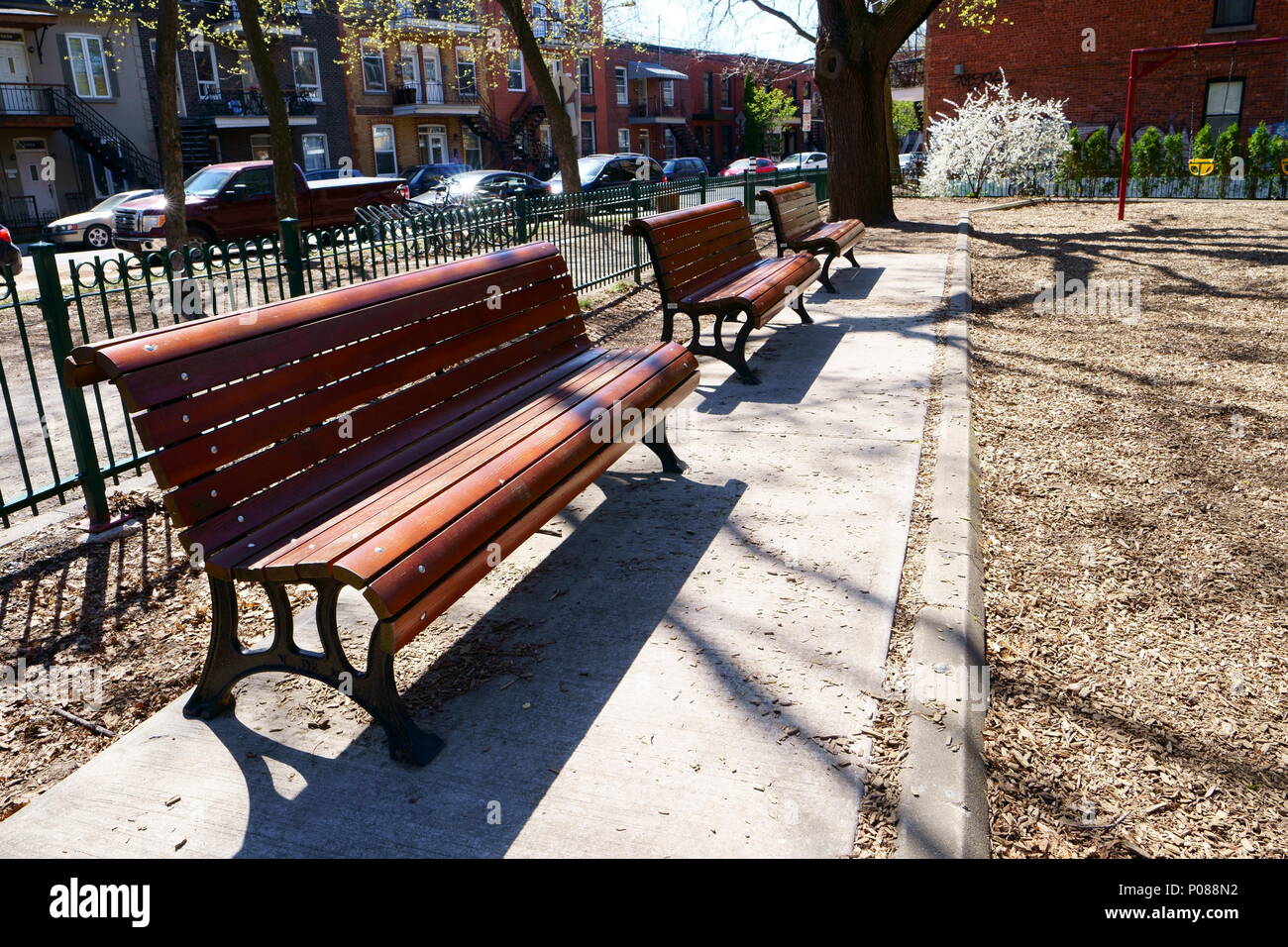 Empty bench trees in park bench hi-res stock photography and images - Alamy