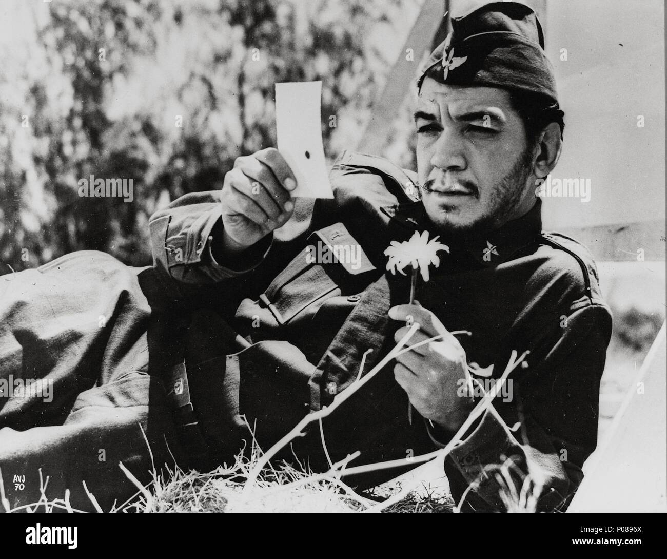 Original Film Title A VOLAR, JOVEN. English Title A VOLAR, JOVEN