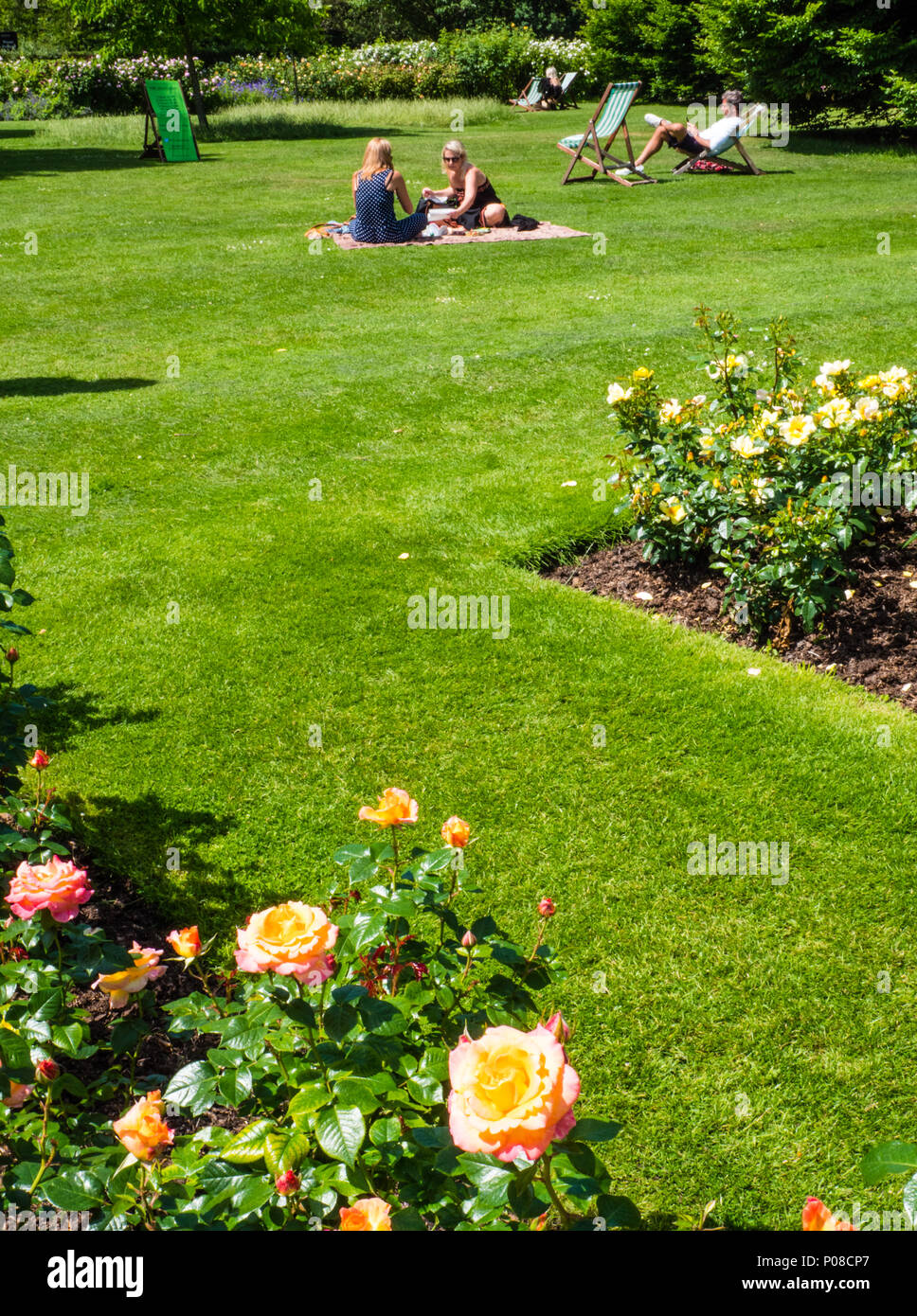 People Relaxing in Sunshine, Queen Mary's Gardens, Rose Garden, Regents Park, London, England, UK, GB. Stock Photo