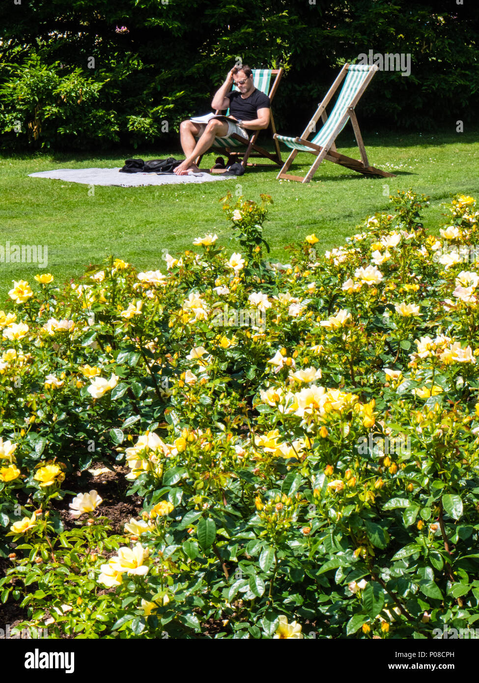 People Relaxing in Sunshine, Queen Mary's Gardens, Rose Garden, Regents Park, London, England, UK, GB. Stock Photo