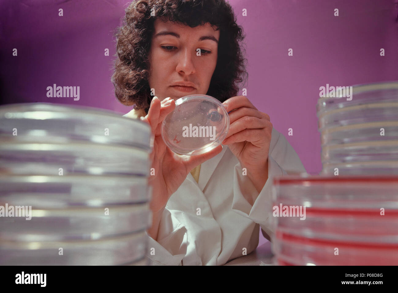 Food industry microbiologist testing extracts of food products for