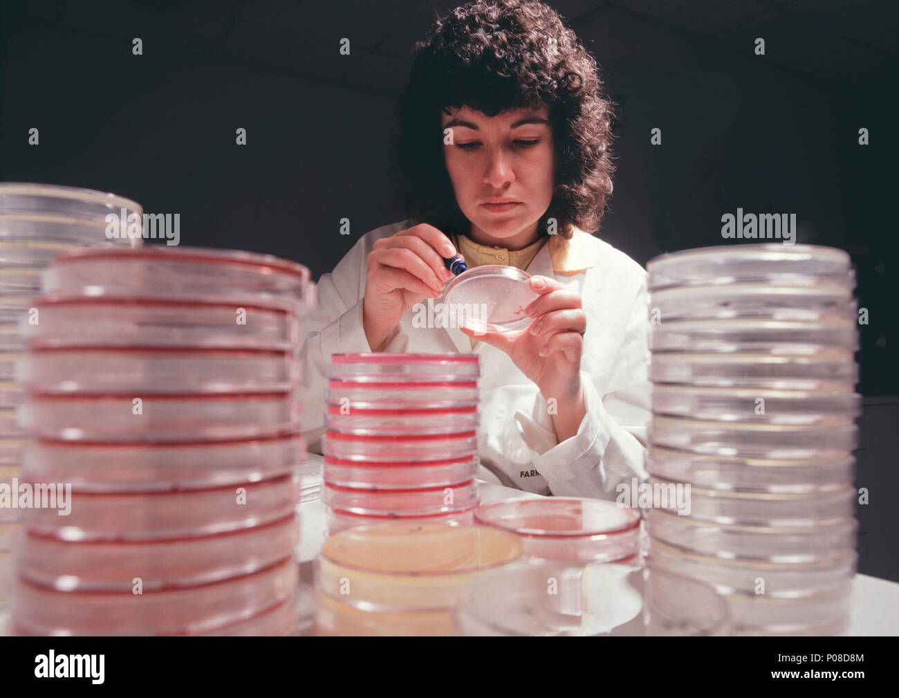 Food industry microbiologist testing extracts of food products for