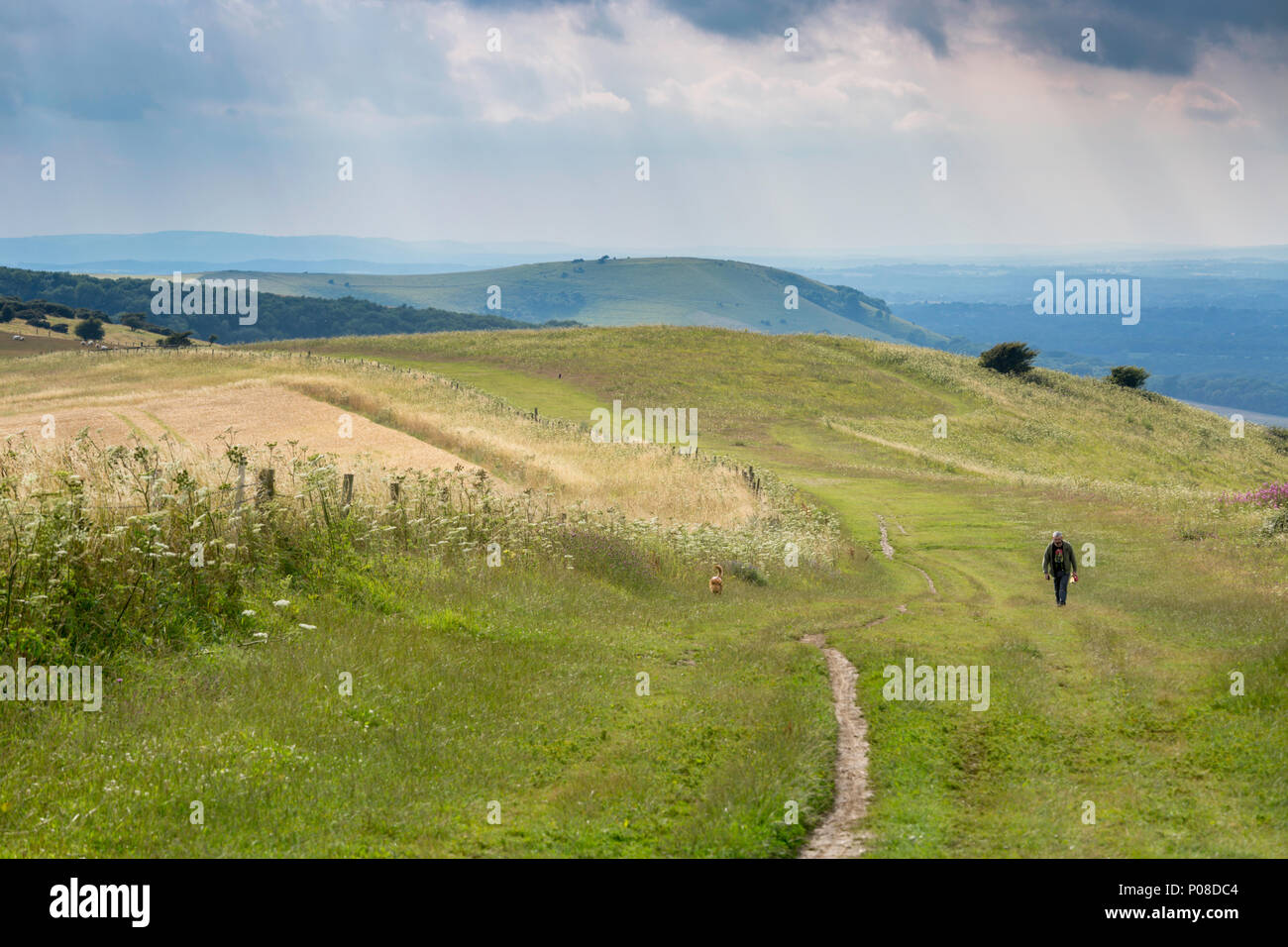 Man walking with his dog at Ditchling Beacon on the South Downs, East Sussex, UK. Stock Photo