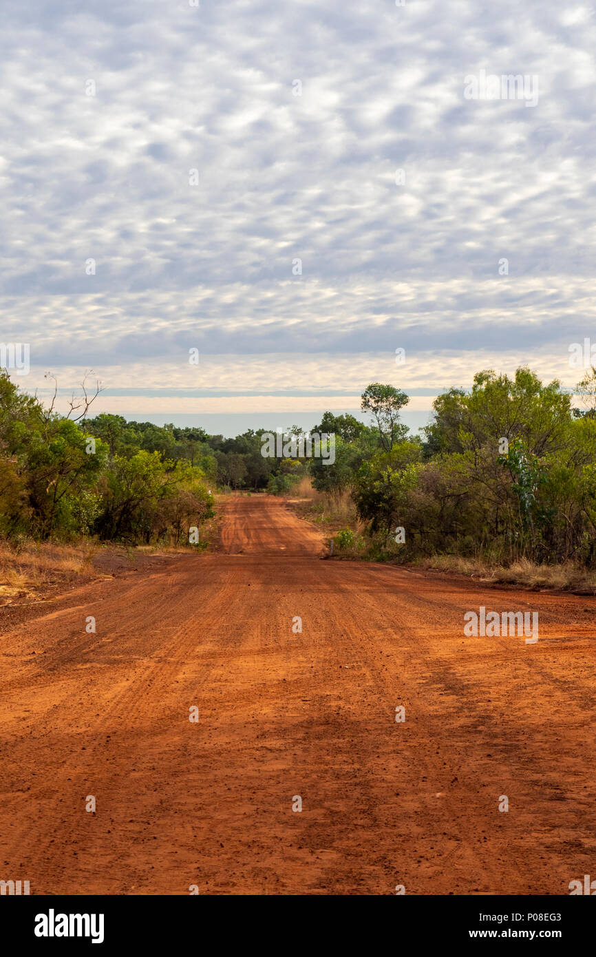 Gibb Challenge 2018 eucalyptus gum trees red pindan dirt road Gibb River Road Kimberley WA Australia. Stock Photo