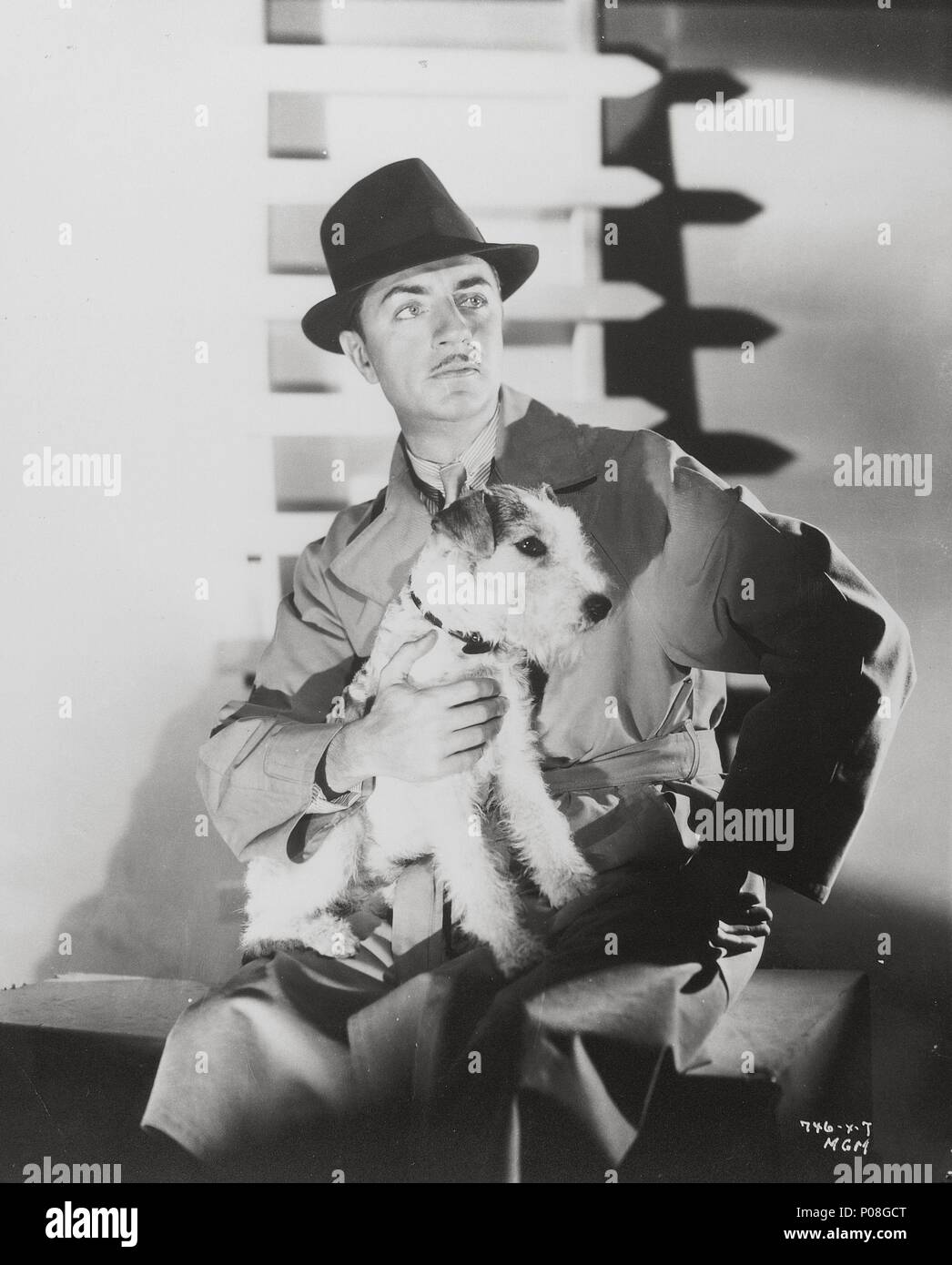 Asta dog hires stock photography and images Alamy