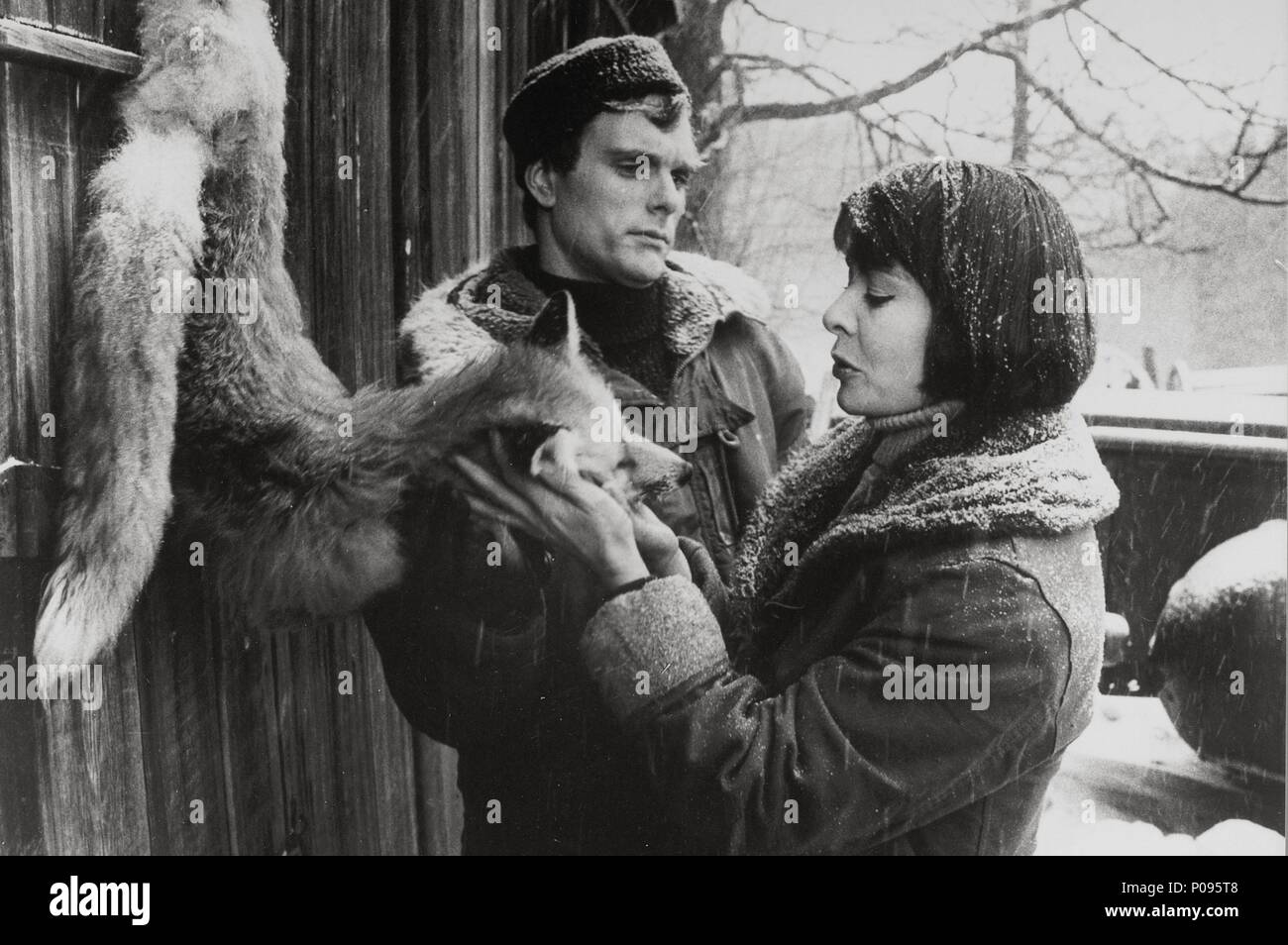 Original Film Title: THE FOX.  English Title: THE FOX.  Film Director: MARK RYDELL.  Year: 1967.  Stars: KEIR DULLEA; ANNE HEYWOOD. Credit: WARNER BROTHERS / Album Stock Photo
