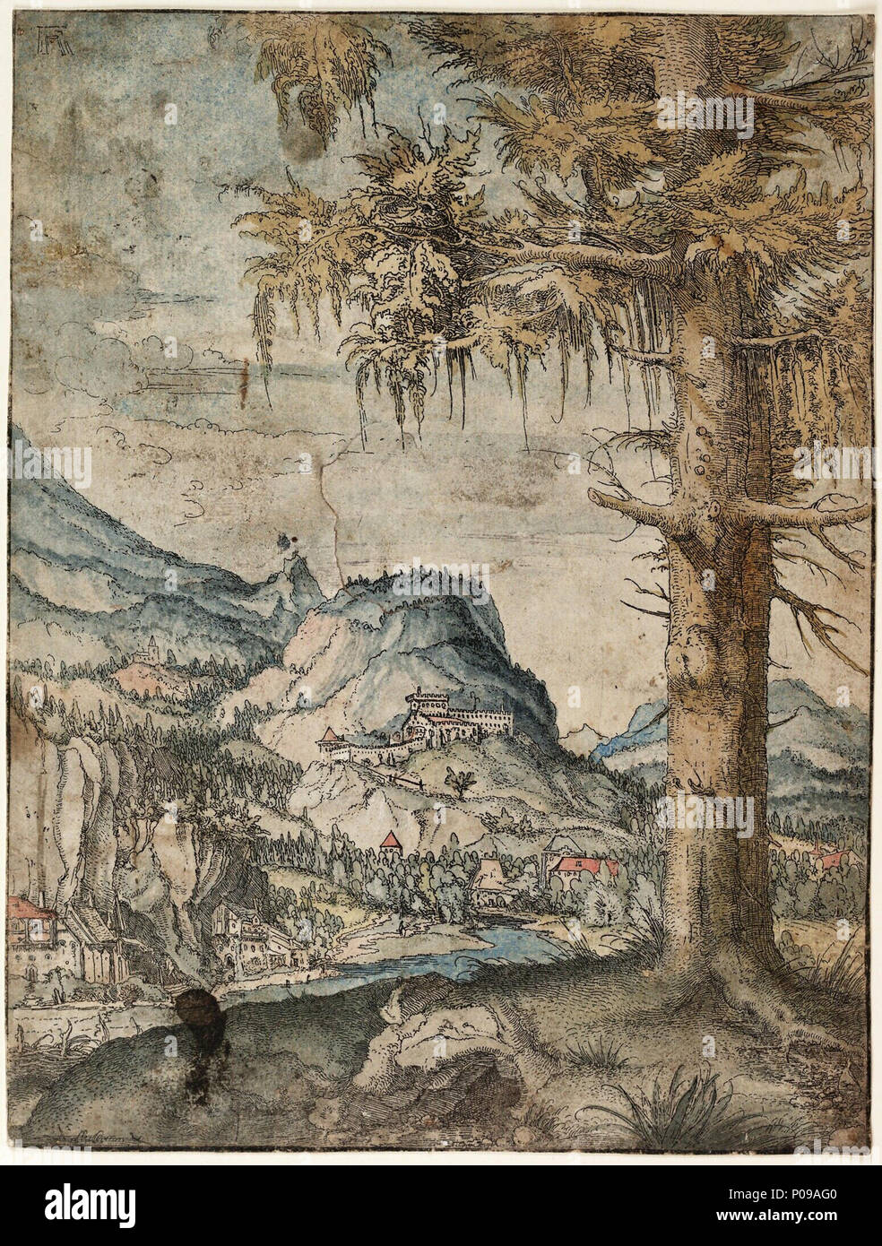. German: Die Große Fichte Large Spruce . circa 1517 — 1520 282 Albrecht Altdorfer - Big Spruce (hand-coloured) Albertina DG1926-1779 Stock Photo