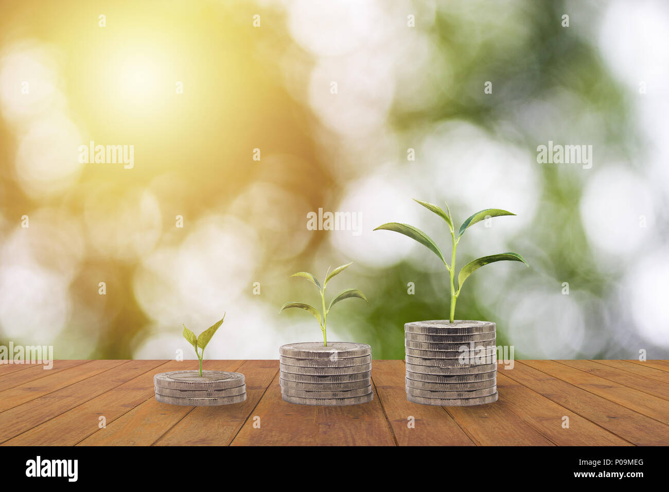Trees growing on pile of coins money on green nature background ...