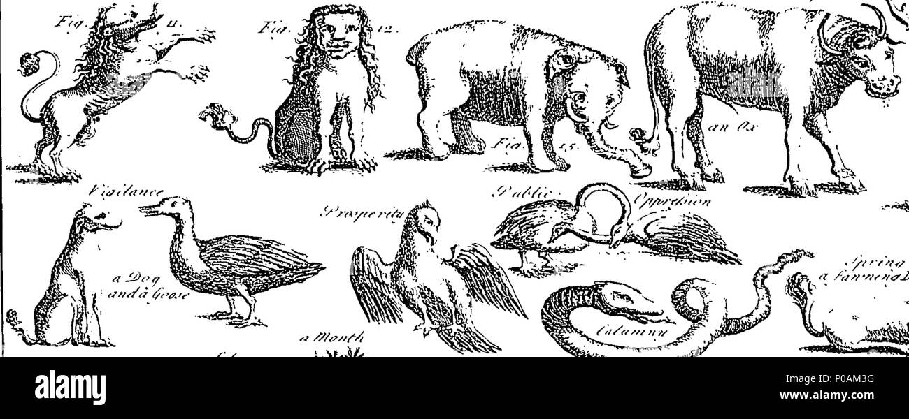English Fleuron From Book A New Universal History Of Arts And Sciences Shewing Their Origin Progress Theory Use And Practice And Exhibiting The Invention Structure Improvement And Uses Of The Most