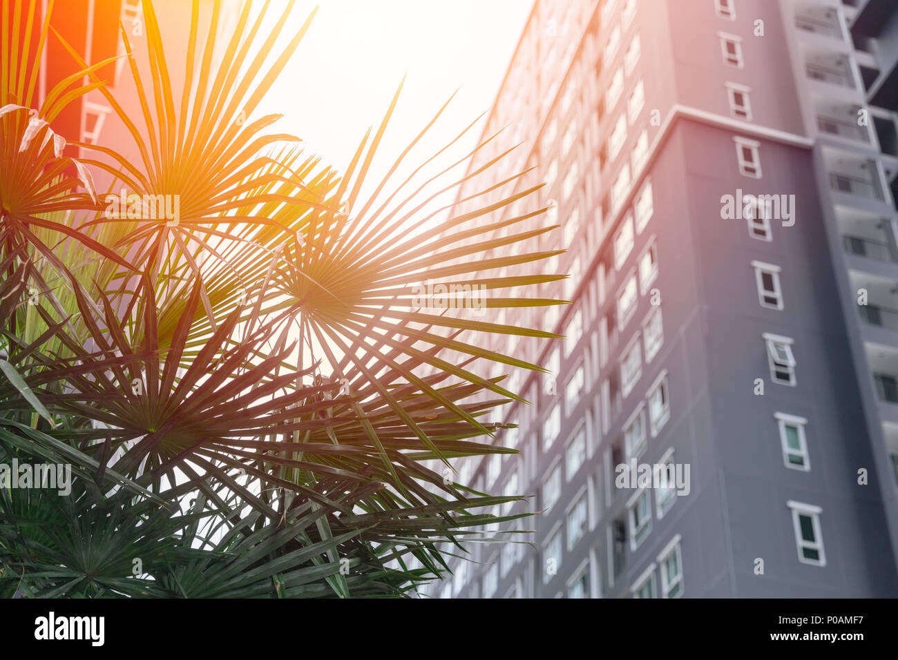 green city concept plant with high rise building accomodation ...