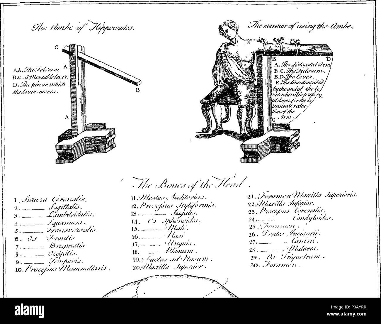 . English: Fleuron from book: A new medical dictionary; or, general repository of physic. Containing an explanation of the terms, and a description of the various particulars Relating To Anatomy, Physiology, Physic, Surgery, Materia Medica, Pharmacy, &c. &c. &c. Each Article, according to its Importance, being considered in every Relation to which its Usefulness extends in the Healing Art. By G. Motherby, M.D. 155 A new medical dictionary; or, general repository of physic Fleuron T066034-47 Stock Photo