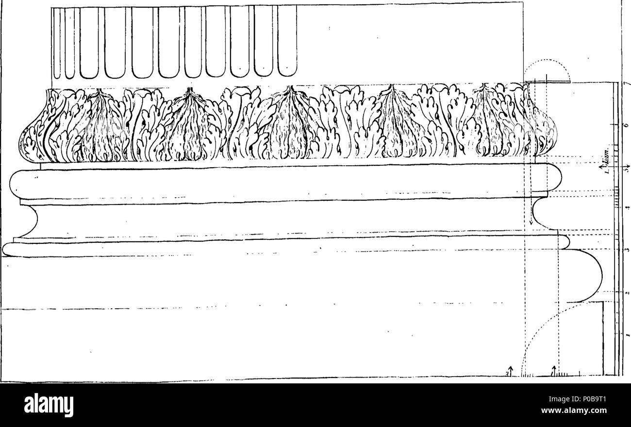 . English: Fleuron from book: A proposition for a new order in ...