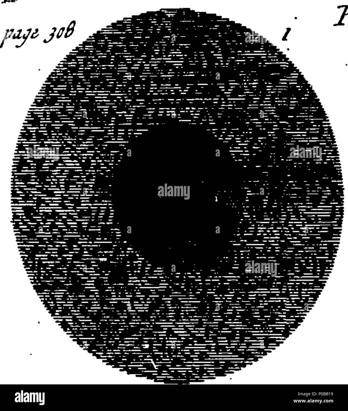  english fleuron from book a new theory of the earth from its