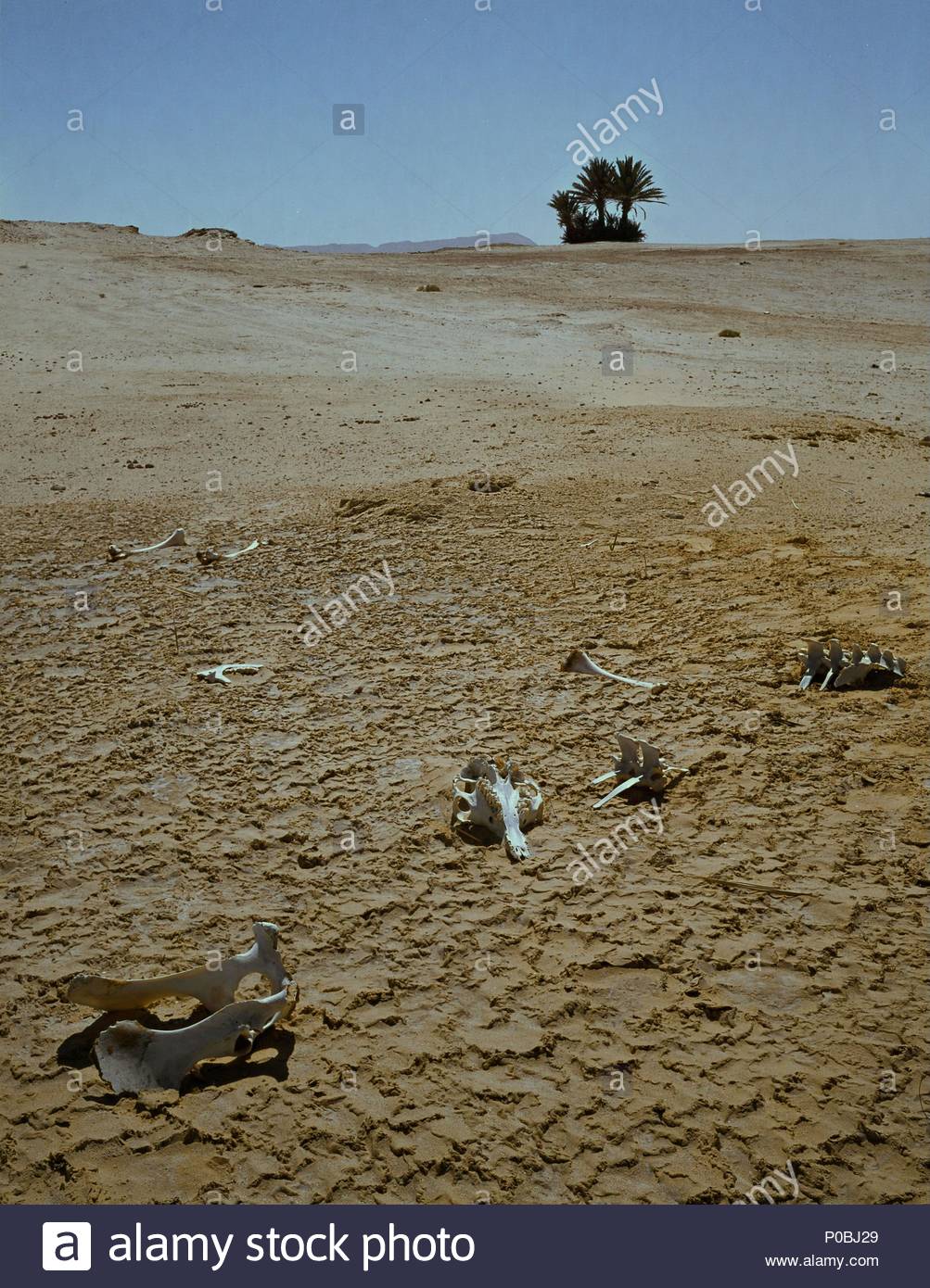 Marah Stock Photos & Marah Stock Images Alamy