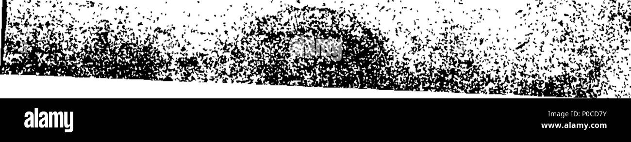 . English: Fleuron from book: A sermon on the parable of the grain of mustard-seed. By P. B. Ord. F.M. 191 A sermon on the parable of the grain of mustard-seed. By P. B. Ord. F.M. Fleuron T225485-1 Stock Photo