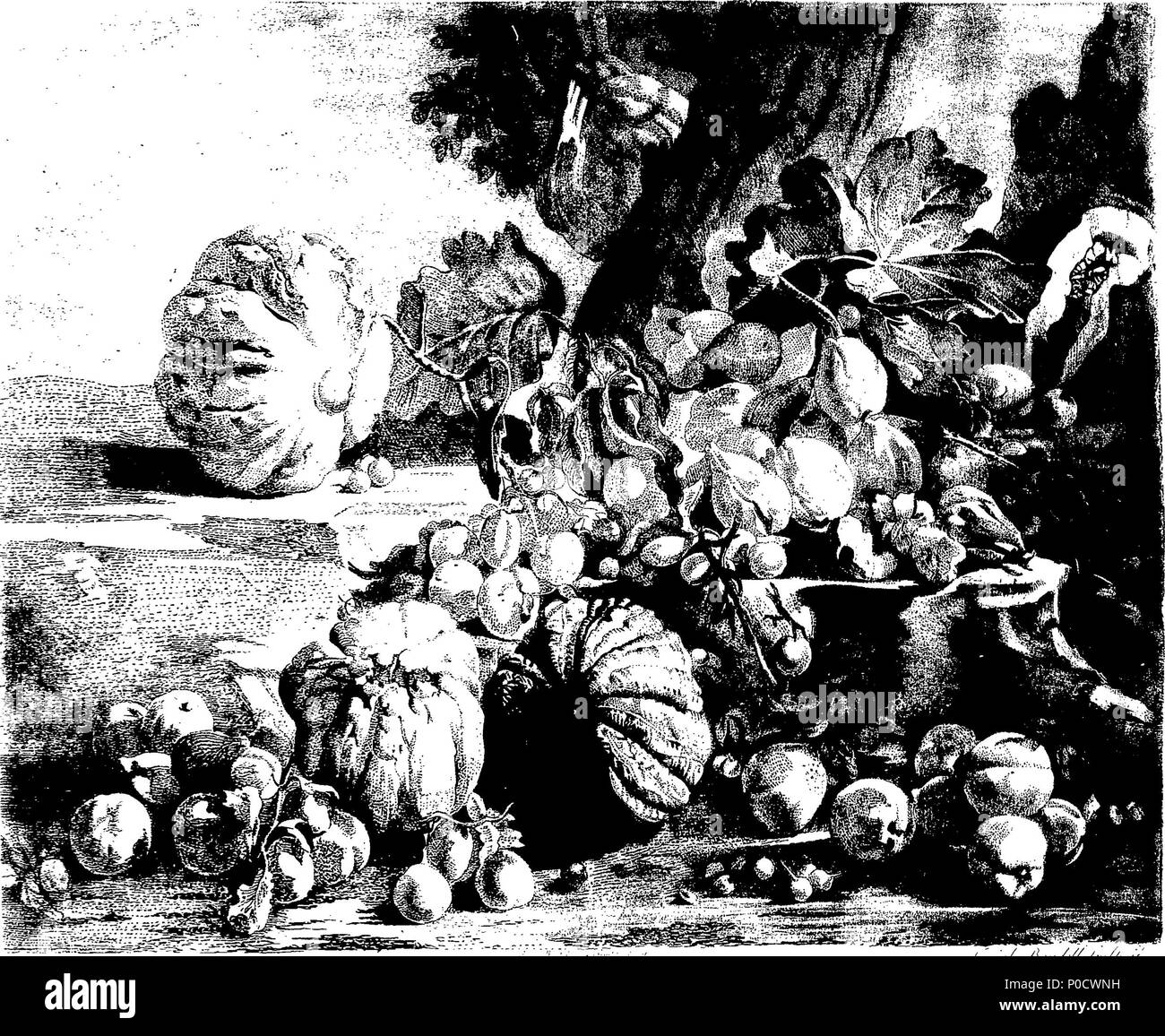 . English: Fleuron from book: A set of prints engraved after the most capital paintings in the collection of her Imperial Majesty, The Empress of Russia Lately in the Possession of The Earl of Oxford at Houghton in Norfolk; with Plans, Elevations, Sections, Chimney & Ceilings. Vol: I. 200 A set of prints engraved after the most capital paintings in the collection of her Imperial Majesty Fleuron T155309-40 Stock Photo