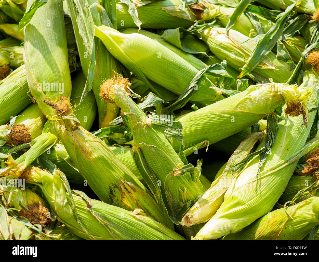 Taber hires stock photography and images Alamy