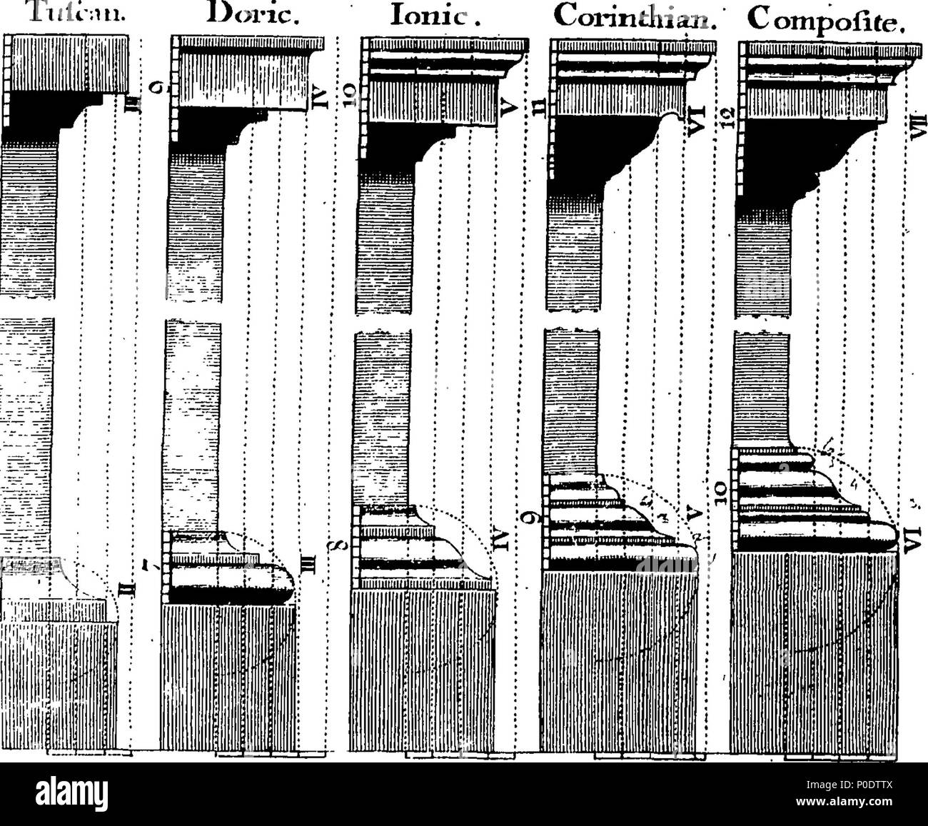 . English: Fleuron from book: A treatise of the five orders of columns ...