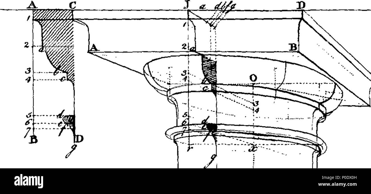 . English: Fleuron from book: A treatise of the theory and practice of ...