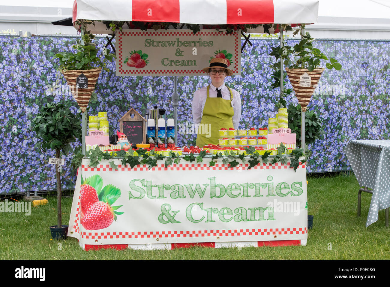 Strawberries and cream food stall at RHS Chatsworth flower show 2018. Chatsworth, Bakewell, Derbyshire, UK Stock Photo