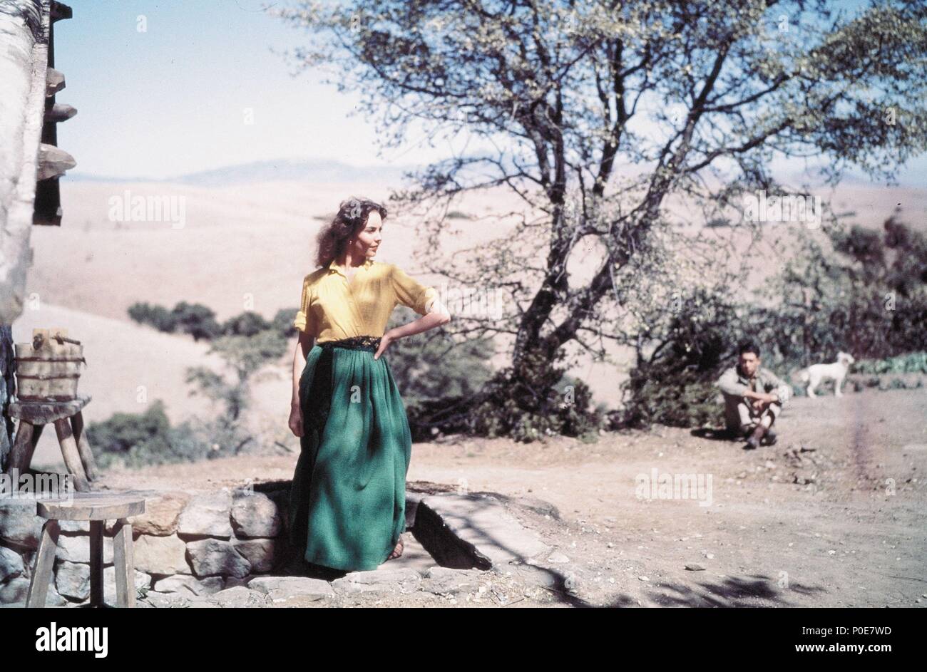 Original Film Title: DUEL IN THE SUN. English Title: DUEL IN THE SUN ...