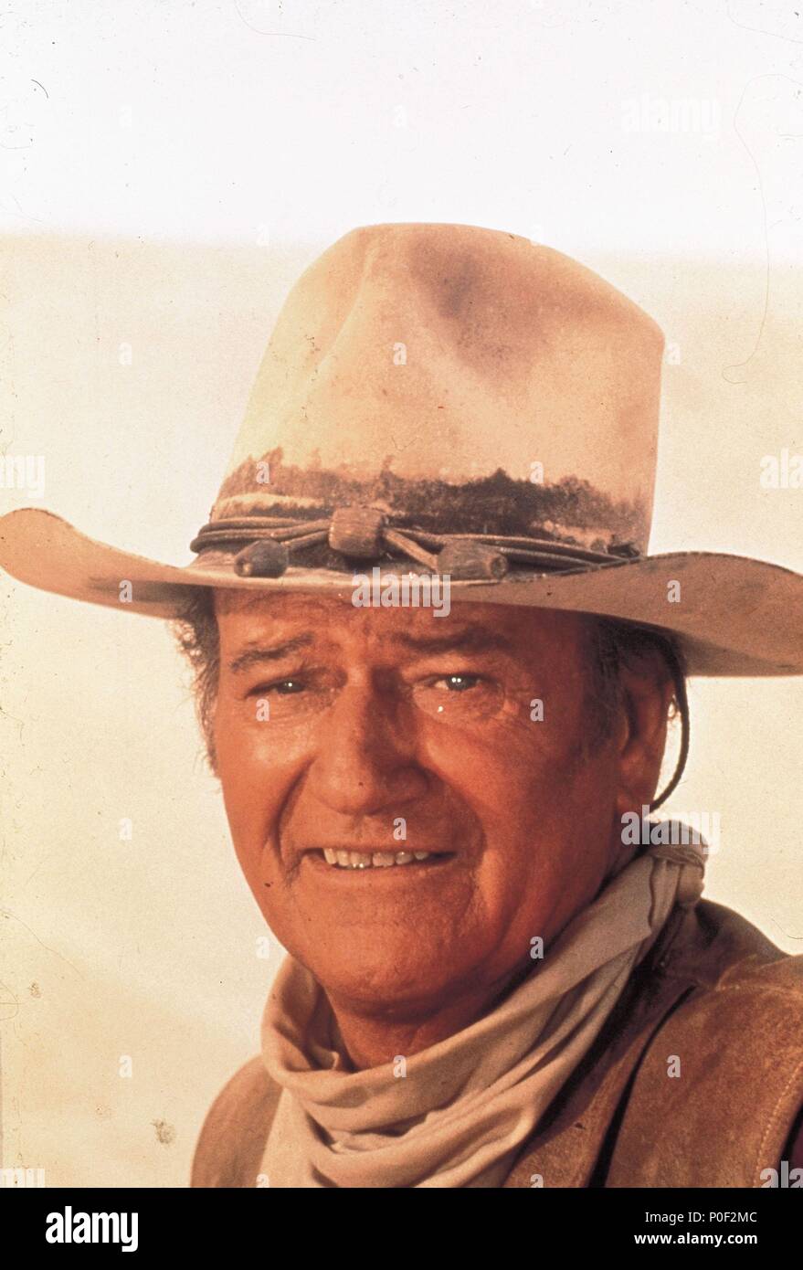 Original Film Title THE TRAIN ROBBERS. English Title THE TRAIN