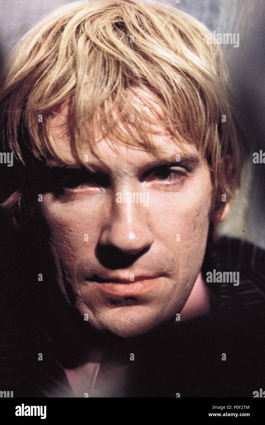 David Warner High Resolution Stock Photography And Images Alamy