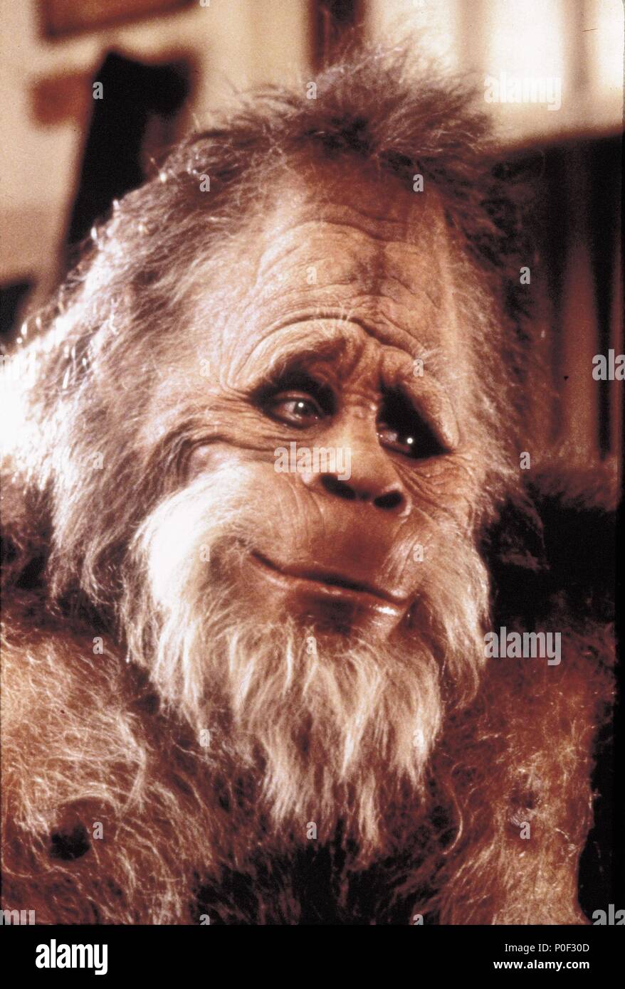 Original Film Title: HARRY AND THE HENDERSONS.  English Title: BIGFOOT AND THE HENDERSONS.  Film Director: WILLIAM DEAR.  Year: 1987.  Stars: KEVIN PETER HALL. Credit: AMBLIN/UNIVERSAL / Album Stock Photo