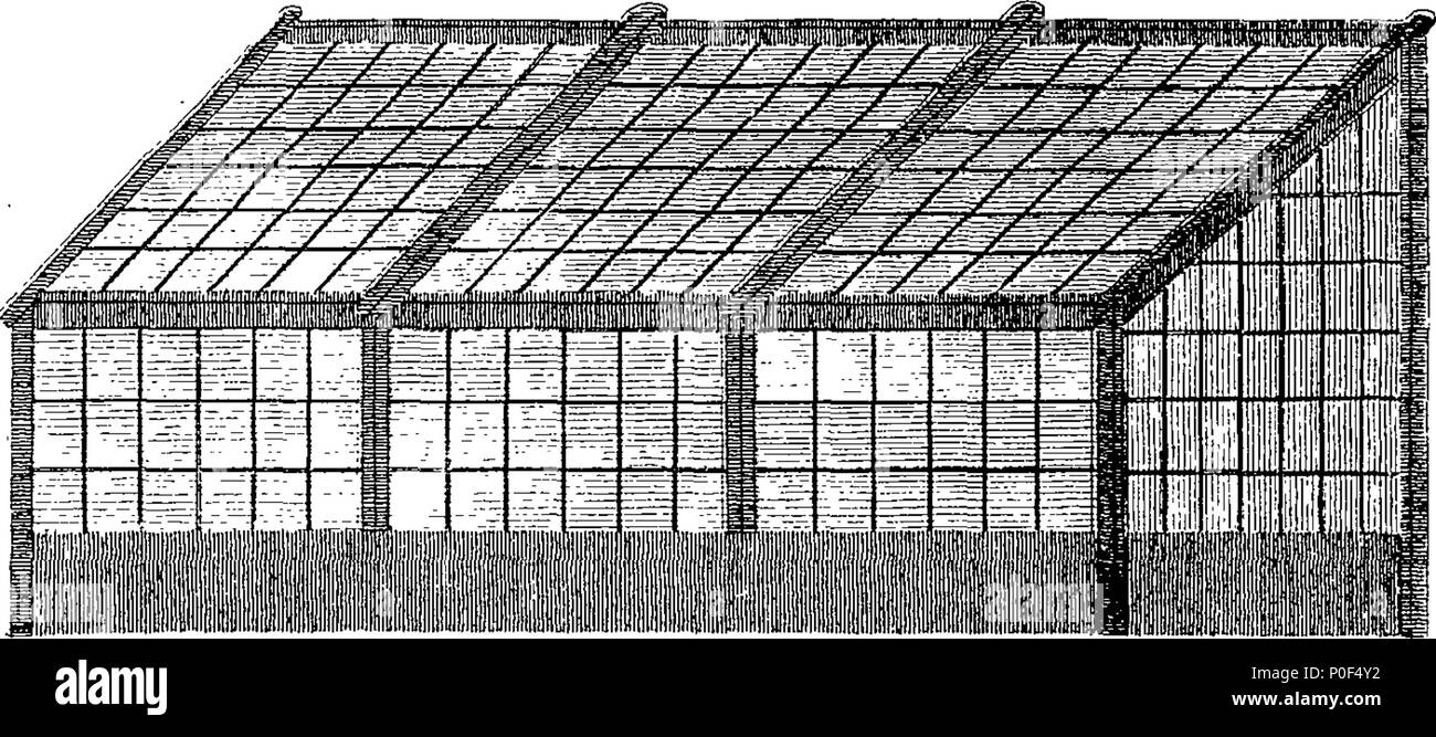 A Treatise On The Ananas Or Pine Apple Containing Plain And Easy Directions For Raising This Most