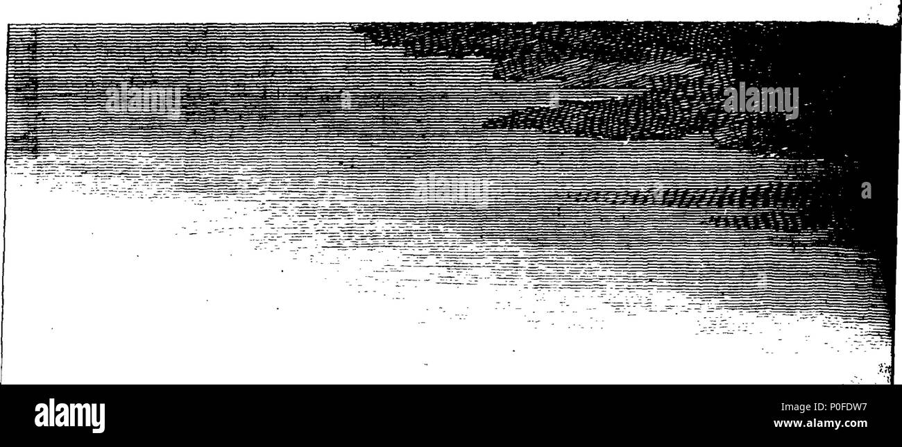 . English: Fleuron from book: A voyage round the world, in the years MDCCXL, I, II, III, IV, by George Anson, Esq; afterwards Lord Anson, Commander in Chief of a Squadron of His Majesty's Ships, sent upon an Expedition to the South-Seas. Compiled, from his papers and materials, by Richard Walter, M. A. Chaplain of His Majesty's Ship the Centurion, in that Expedition. Illustrated with forty-two copper-plates. 248 A voyage round the world Fleuron T010227-35 Stock Photo