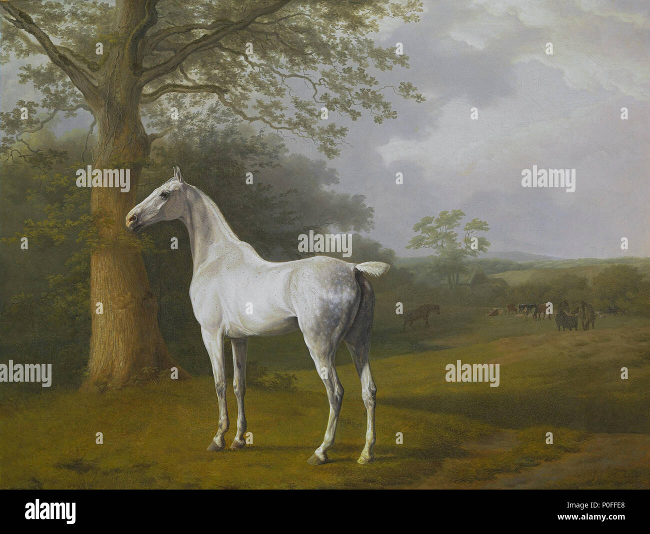 Lord rivers hi-res stock photography and images - Alamy