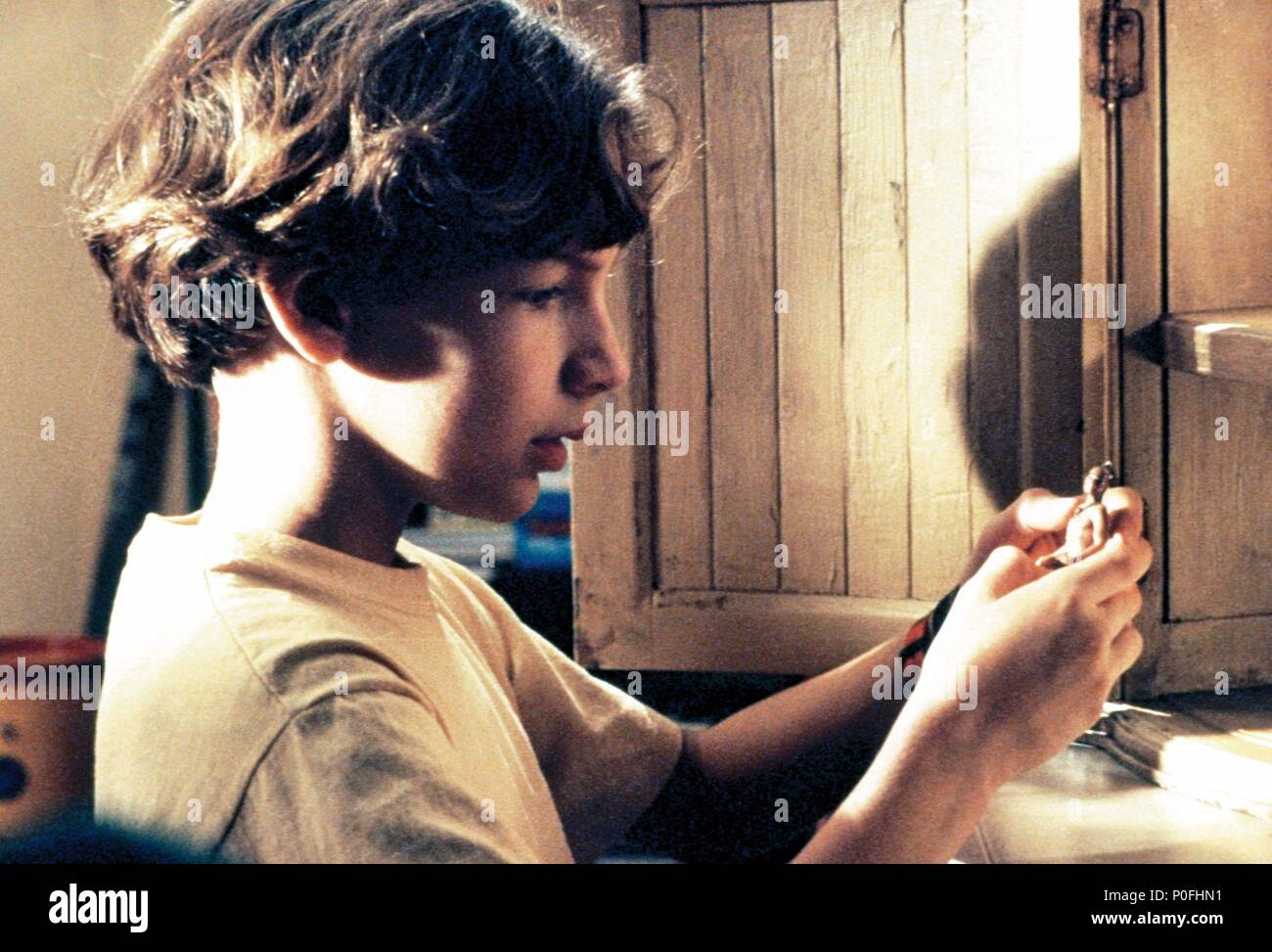 Original Film Title THE INDIAN IN THE CUPBOARD. English Title THE