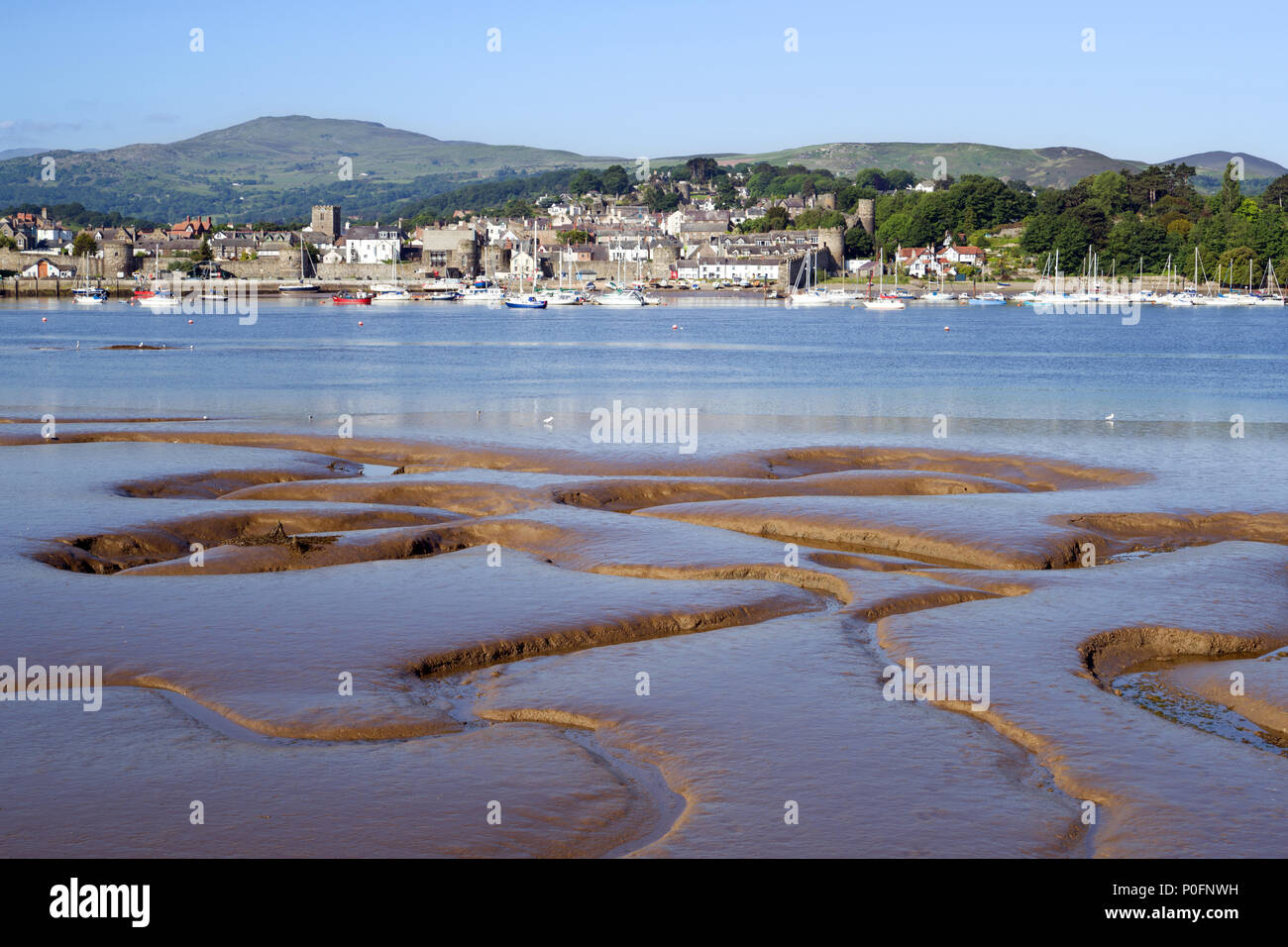 Conwy Estuary in North Wales at low tide with the town of Conwy in the background. Stock Photo