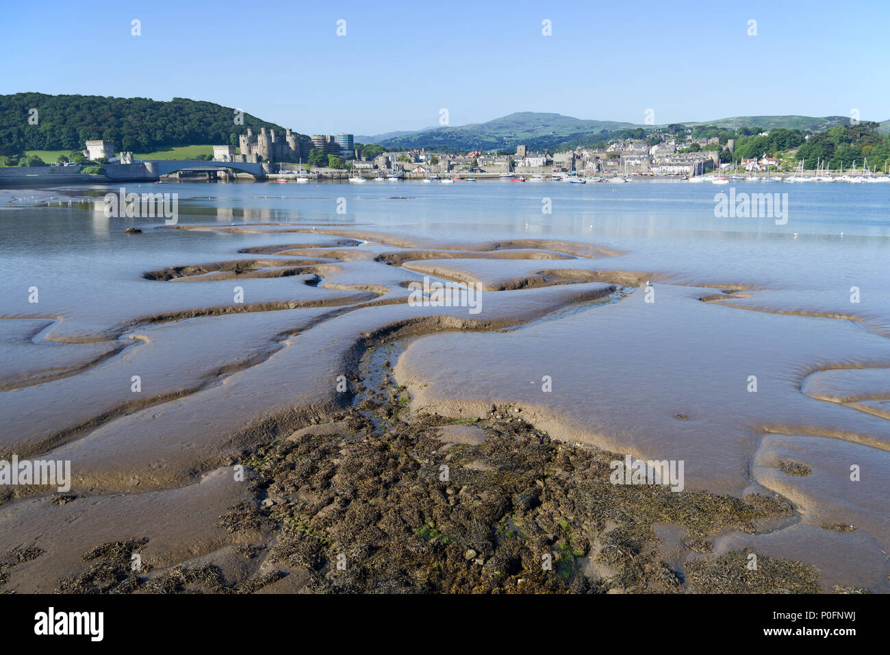 Conwy Estuary in North Wales at low tide with the town of Conwy in the background. Stock Photo