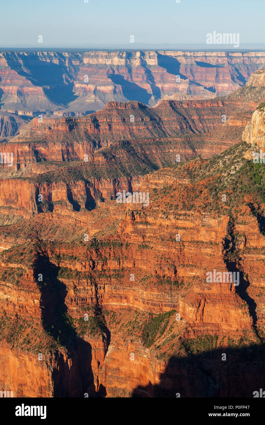 Grand canyon North rim Stock Photo - Alamy