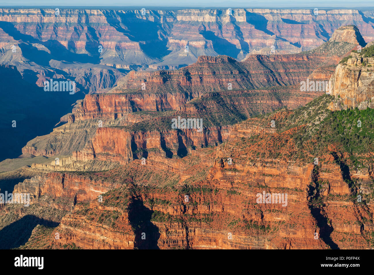 Grand canyon North rim Stock Photo - Alamy