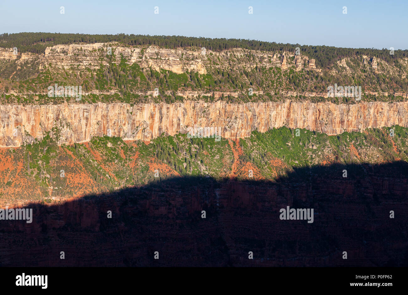 Grand canyon North rim Stock Photo - Alamy