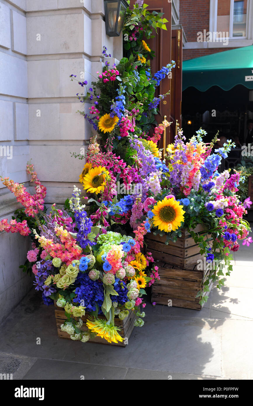 Flower Display at Covent Garden, London, England, UK Stock Photo Alamy