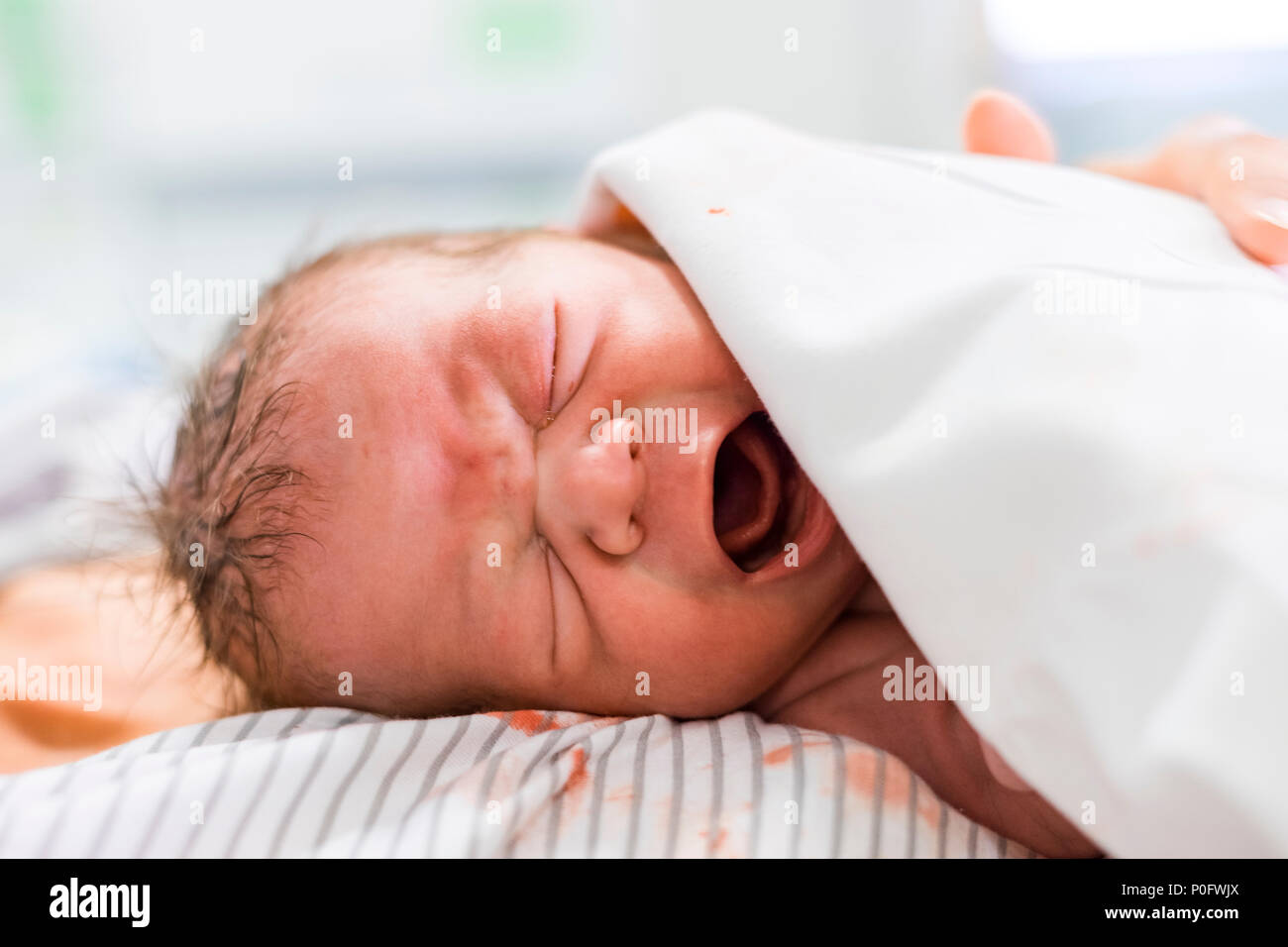 Newborn baby boy crying on the chest of his mom Stock Photo