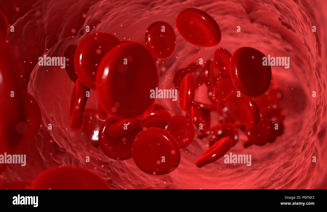 A macro closeup of a blood vein with red blood cells flowing through it