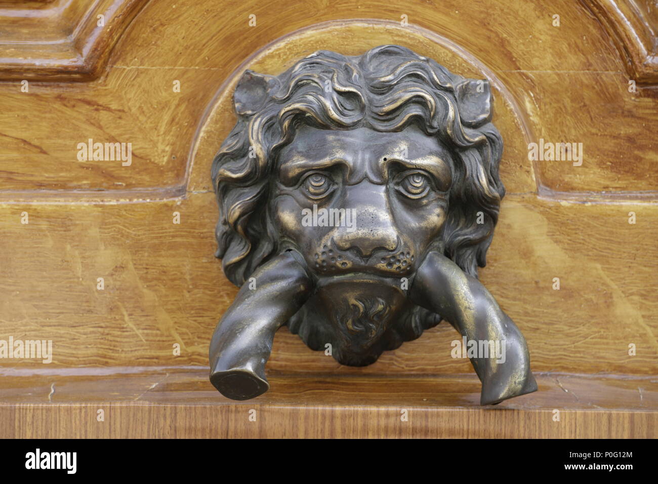Lion Head Doorknocker Stock Photo 206876508 Alamy