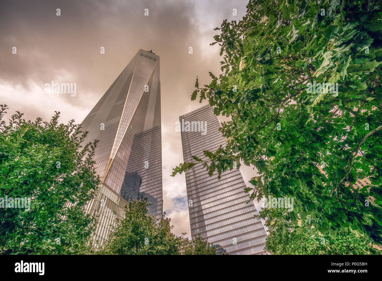 Looking up to the One World Trade Centre in Lower Manhattan, New York